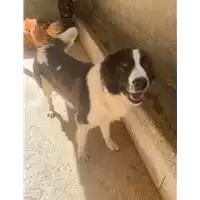 Comune di Roccabascerana - 380260044951303
