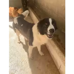 Comune di Roccabascerana - 380260044951303