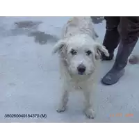 Comune di Altavilla Irpina - 380260040184370